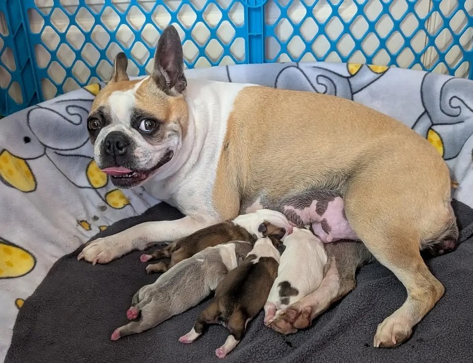 4 Beautiful babies born 4/16/2025