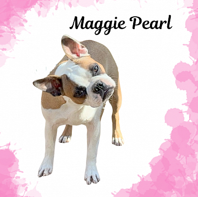 Maggie Pearl Black Masked Fawn