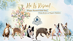 Resurrection Easter 2026