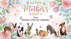 Flower Power Mother's Day ( 1.