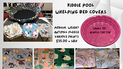 Pick your Colors, Place you Orders